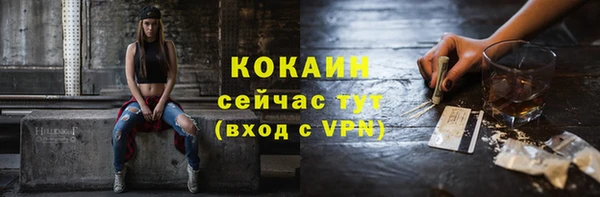 мяу мяу мука Абаза