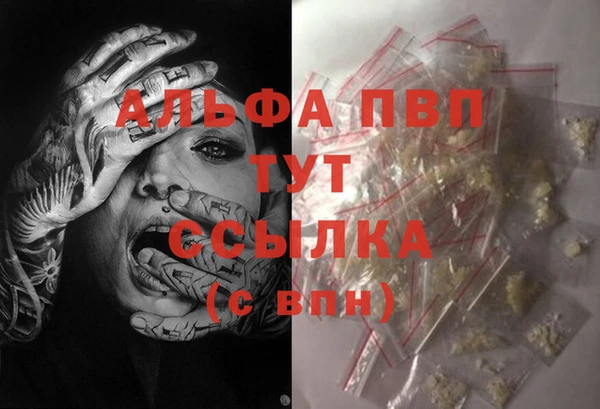мяу мяу мука Абаза