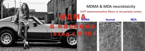 мяу мяу мука Абаза
