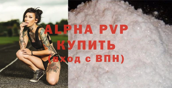 мяу мяу мука Абаза
